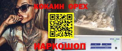 хмурый Сланцы