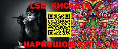 хмурый Сланцы