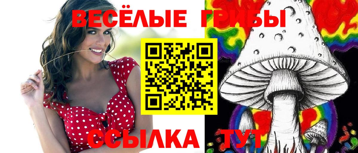 Тобольск  Галлюциногенные грибы Cubensis  Вход с VPN 